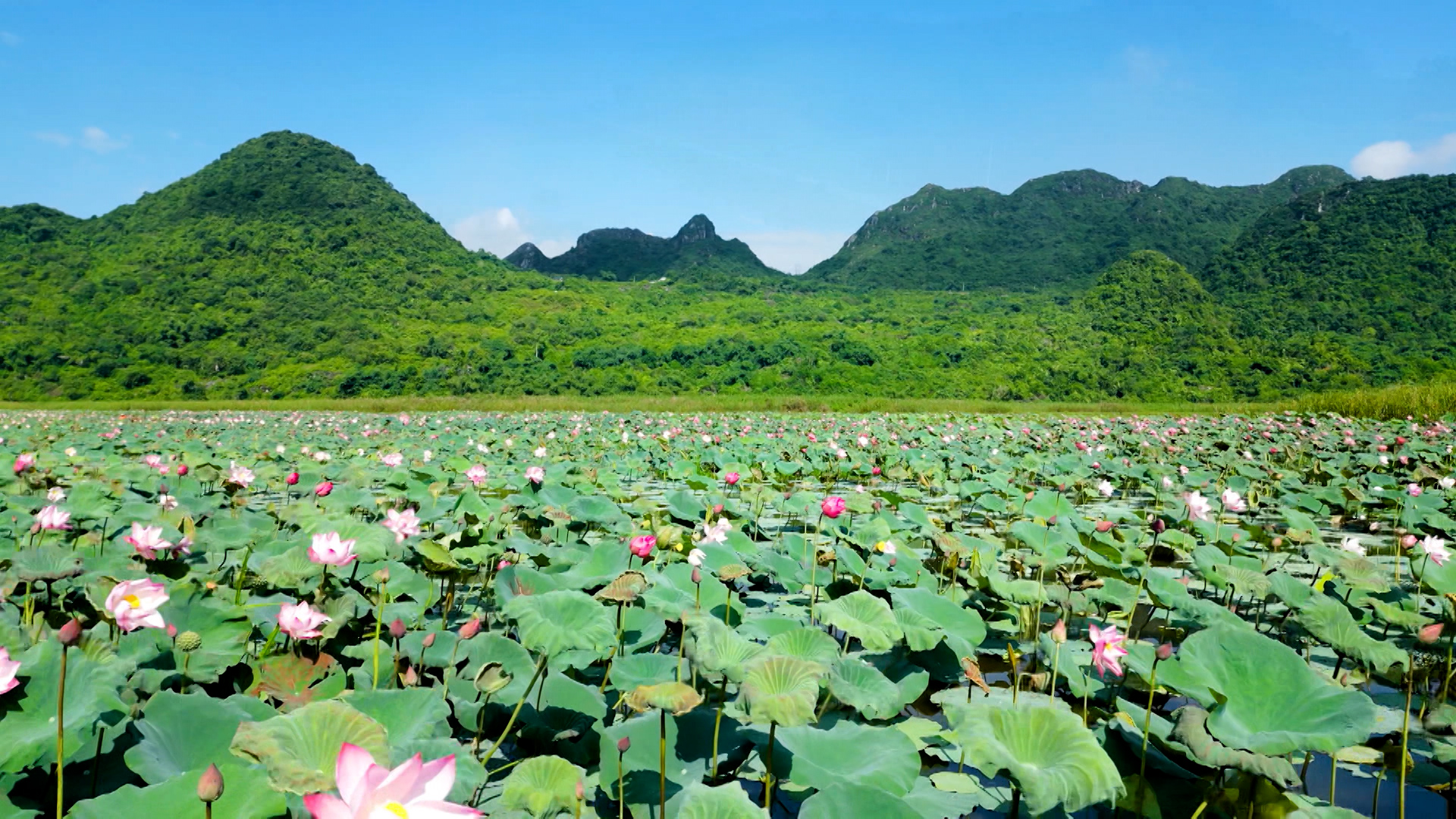 Sông nước Tuy Lai | Hà Nội đến để yêu | 16/07/2025