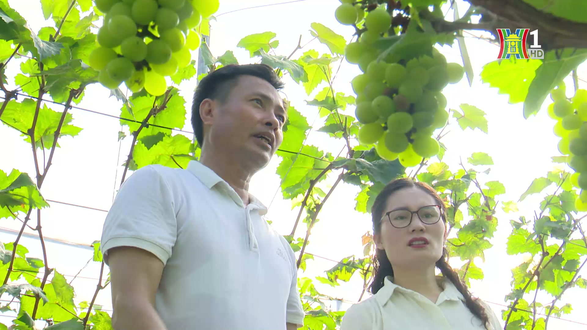 Phát triển nông nghiệp sinh thái- câu chuyện từ Pháp | Thủ đô và thế giới | 28/04/2025