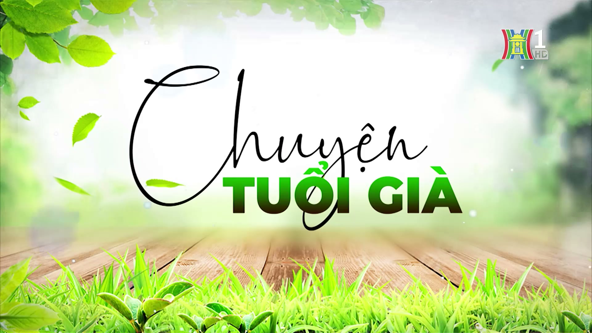 Câu chuyện lương hưu | Chuyện tuổi già | 22/12/2024