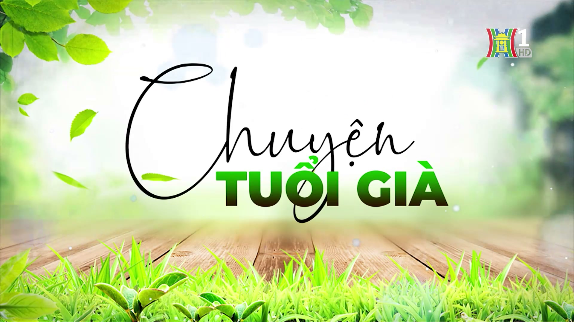 Người cao tuổi và thú vui trồng hoa cây cảnh | Chuyện tuổi già | 26/01/2025