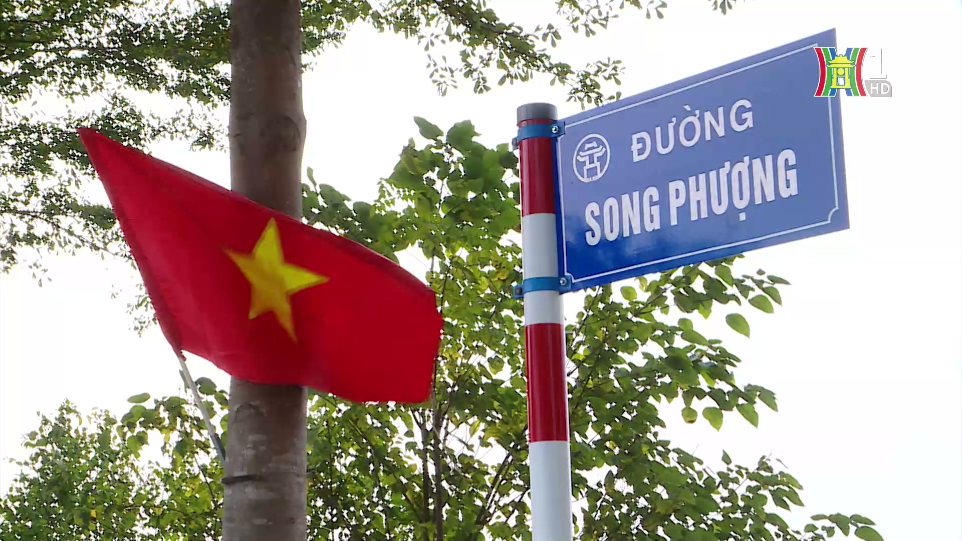 Đan Phượng rợp bóng cờ hoa đón chào năm mới