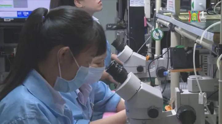 Nhiều ngành nghề hấp dẫn các bạn trẻ