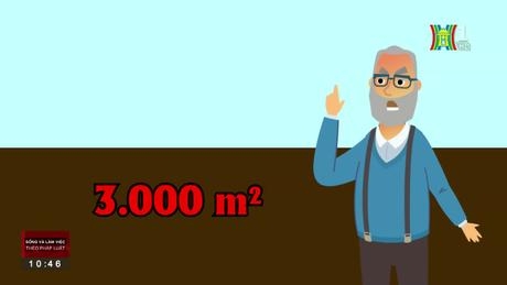 Góp vốn bằng quyền sử dụng đất | Sống và làm việc theo pháp luật | 03/08/2023