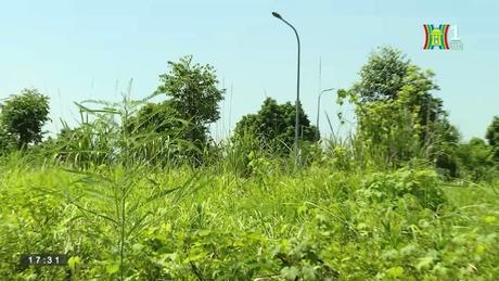 Gỡ điểm “nghẽn” trong đấu giá quyền sử dụng đất