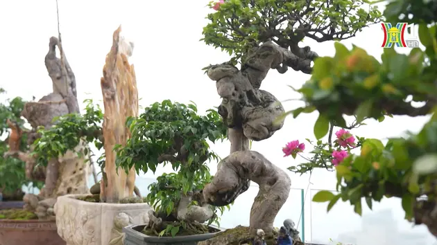 Khu vườn trên tầng thượng | Nông nghiệp Đô thị | 21/04/2024