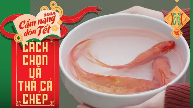 Cách chọn và thả cá cúng ông Công ông Táo