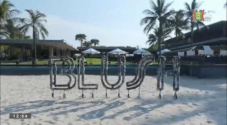 Loạt sao Việt đình đám tham gia Đại nhạc hội Blush Beach