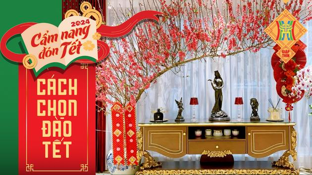 Bí quyết chọn cành đào Tết đẹp đón tài lộc vào nhà