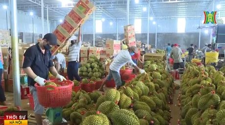 Xuất khẩu nhiều mặt hàng chủ lực giảm mạnh