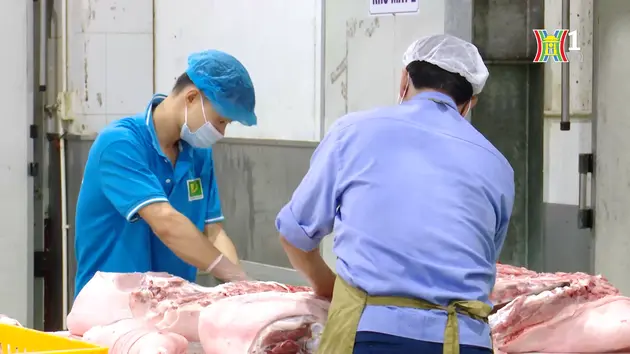 Giết mổ công nghiệp vì sao vẫn hoạt động cầm chừng? | Nhận biết an toàn thực phẩm | 21/07/2024