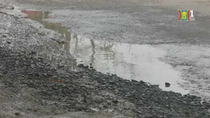 Ngày hội hướng nghiệp năm 2024