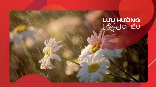 Mưa phùn, lời thì thầm của mùa xuân