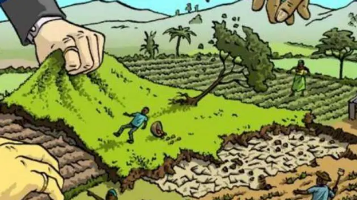 Quy định về cưỡng chế thu hồi đất do vi phạm