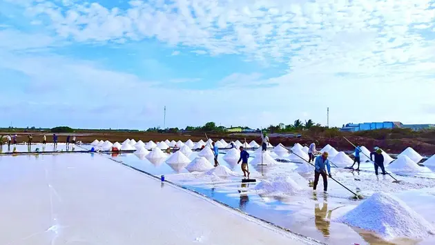 Kết tinh hạt muối Bạc Liêu | Trăm miền hội tụ | 07/03/2025