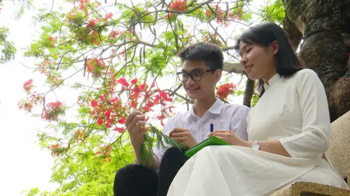 Sân trường đỏ rực mùa hoa phượng nở