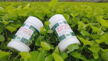Trà thảo dược OCOP | Mỗi xã một sản phẩm | 16/06/2025